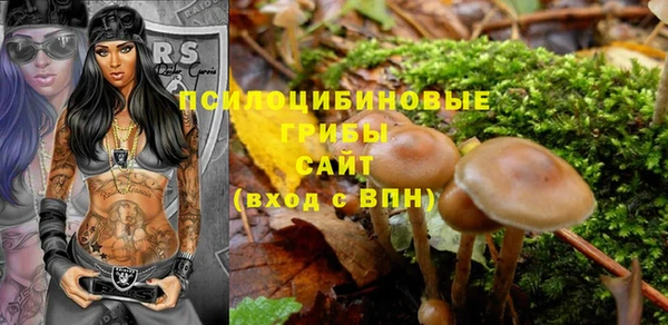 спиды Алексеевка