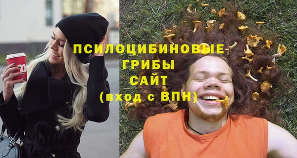 спиды Алексеевка
