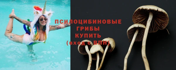 спиды Алексеевка