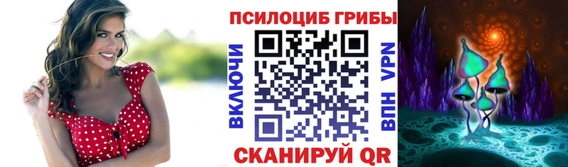 Псилоцибиновые грибы GOLDEN TEACHER Осташков